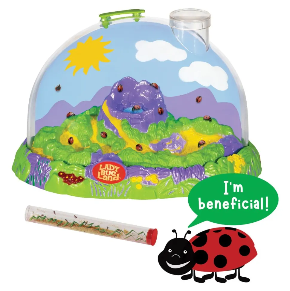 Ladybug Land with Prepaid Voucher
