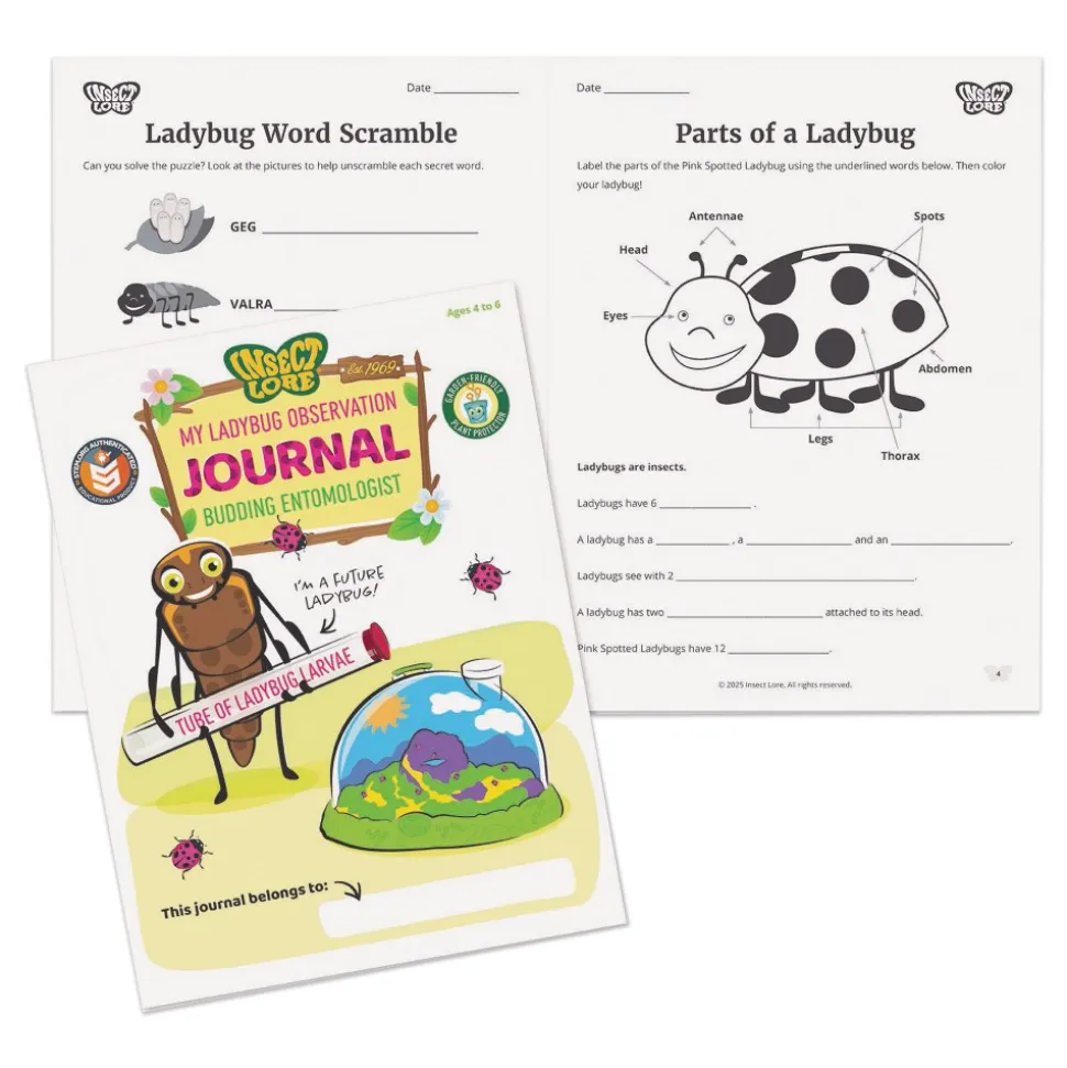 Ladybug Land with Prepaid Voucher