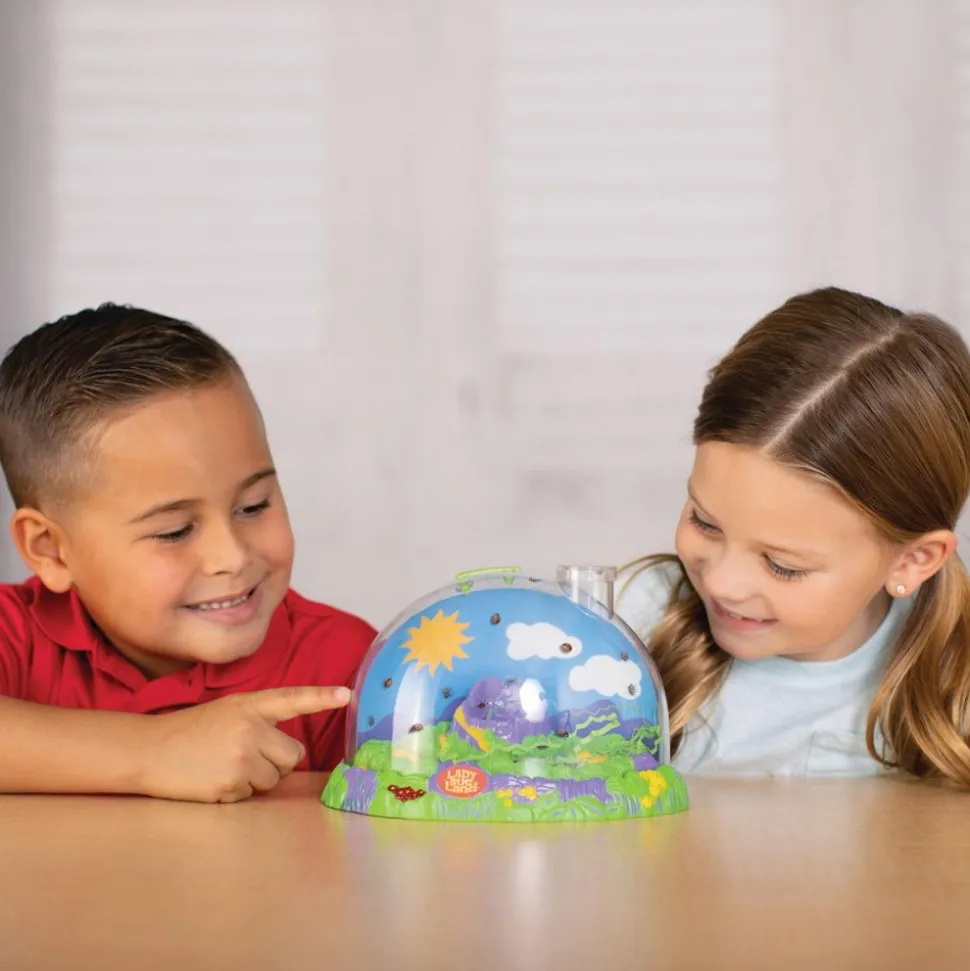 Ladybug Land with Prepaid Voucher