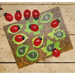 Ladybug Stones and Activity Cards