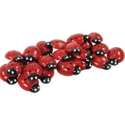 Ladybug Stones and Activity Cards