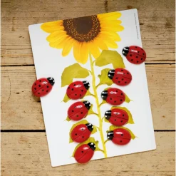 Ladybug Stones and Activity Cards