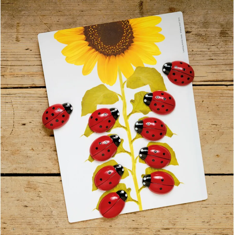 Ladybug Stones and Activity Cards