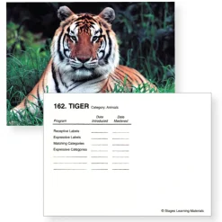 Language Builder Photo Cards Picture Nouns
