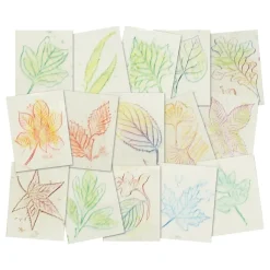 Leaf Rubbing Plates Set of 16