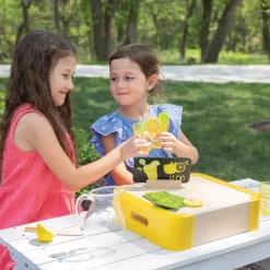 Lemonade Stand Set