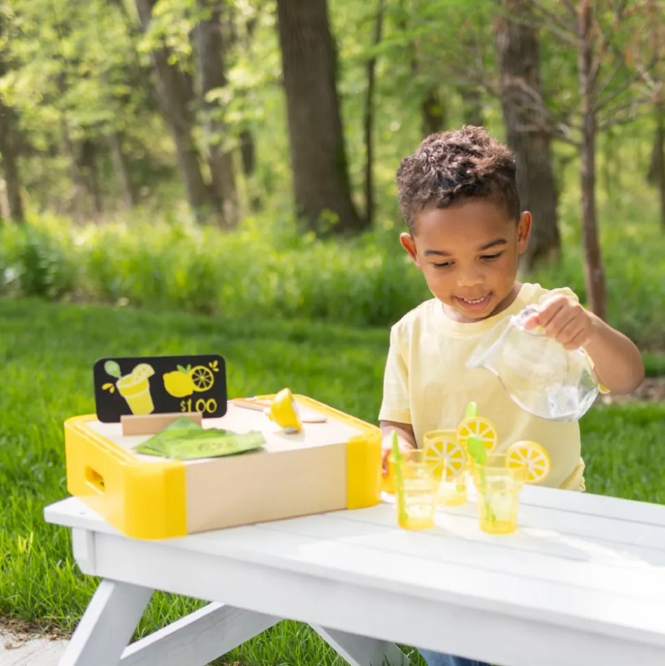 Lemonade Stand Set