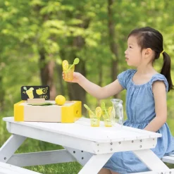 Lemonade Stand Set