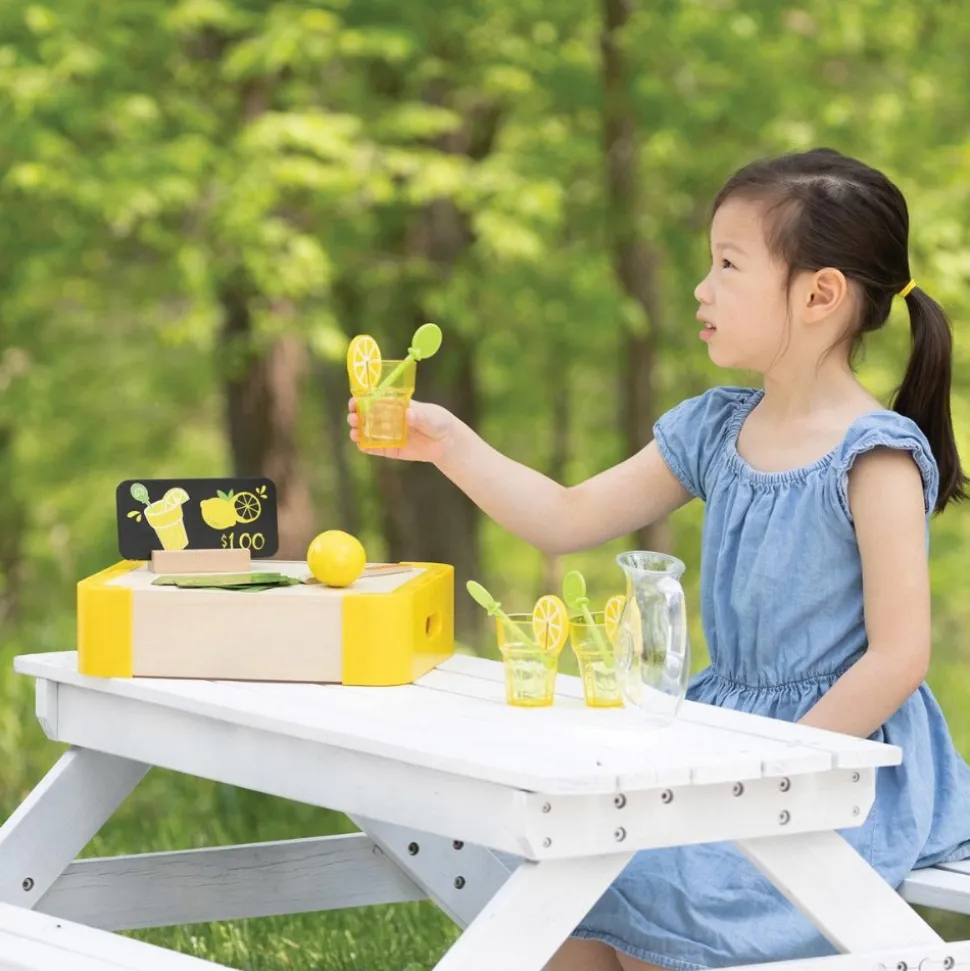 Lemonade Stand Set