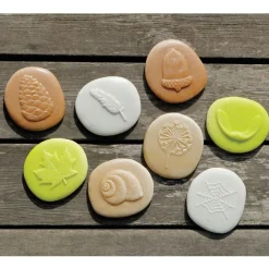 Let's Investigate Nature Set of 8 Stones