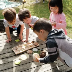 Let's Investigate Nature Set of 8 Stones