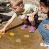 Let's Investigate Seashore Set of 8 Stones
