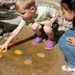Let's Investigate Seashore Set of 8 Stones