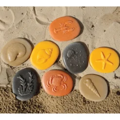 Let's Investigate Seashore Set of 8 Stones