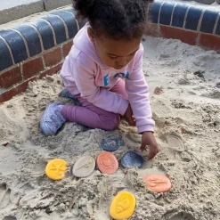 Let's Investigate Seashore Set of 8 Stones