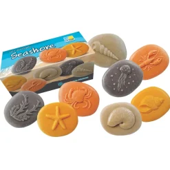 Let's Investigate Seashore Set of 8 Stones