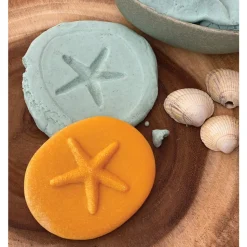 Let's Investigate Seashore Set of 8 Stones