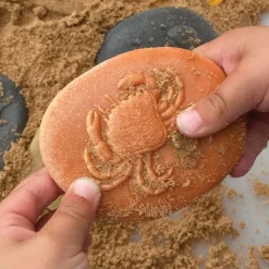 Let's Investigate Seashore Set of 8 Stones