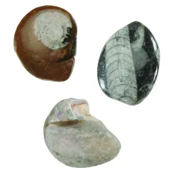 Let's See Nature Assorted Loose Parts