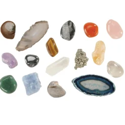 Let's See Nature Assorted Loose Parts