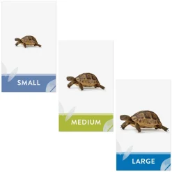 Let's Size It! Game