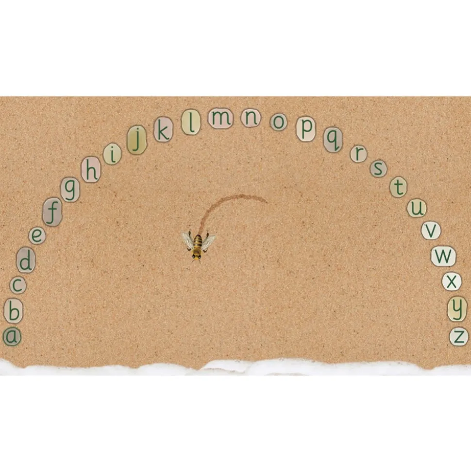 Letter Formation Software for Large Screens and Tablets