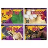 Life Cycle Books Set of 12