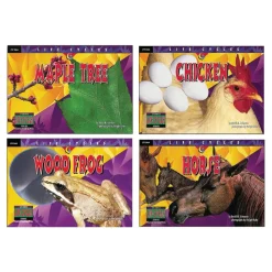Life Cycle Books Set of 12