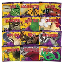 Life Cycle Books Set of 12