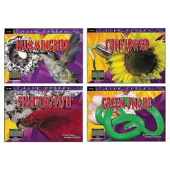 Life Cycle Books Set of 12