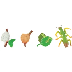Life Cycle Figurines 24 Pieces