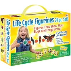 Life Cycle Figurines 24 Pieces