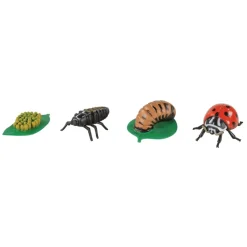 Life Cycle Figurines 24 Pieces