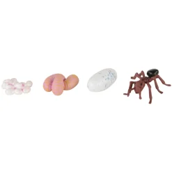 Life Cycle Figurines 24 Pieces