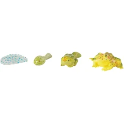 Life Cycle Figurines 24 Pieces