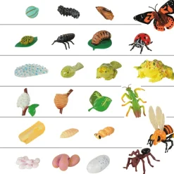 Life Cycle Figurines 24 Pieces