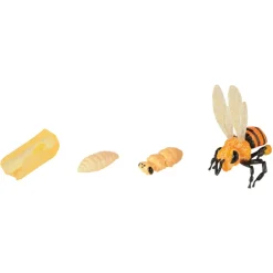 Life Cycle Figurines 24 Pieces