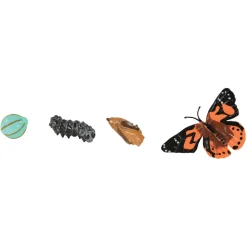 Life Cycle Figurines 24 Pieces