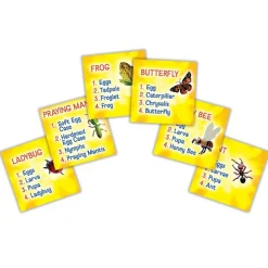 Life Cycle Figurines 24 Pieces