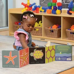 Look, Touch, Learn Textured Sensory Board Books Set of 4