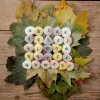 Lowercase Alphabet Pebbles Set of 26