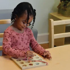 Magnetic Discovery Board