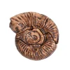 Magnetic Fossil 3D Puzzle Ammonite 6 Pieces