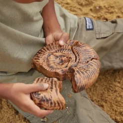 Magnetic Fossil 3D Puzzle Ammonite 6 Pieces