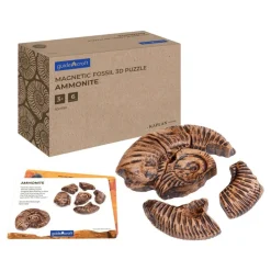 Magnetic Fossil 3D Puzzle Ammonite 6 Pieces