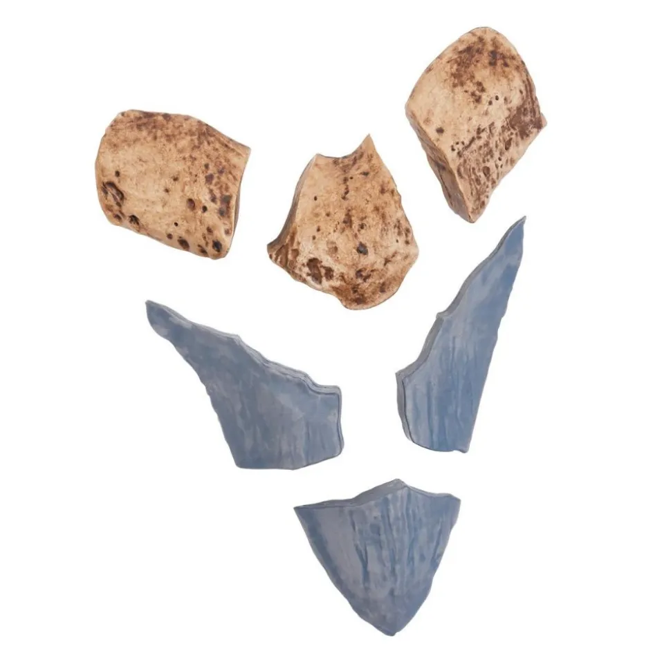 Magnetic Fossil 3D Puzzle Megalodon Tooth 6 Pieces