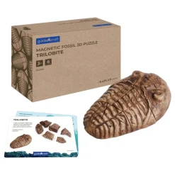Magnetic Fossil 3D Puzzle Trilobite 6 Pieces