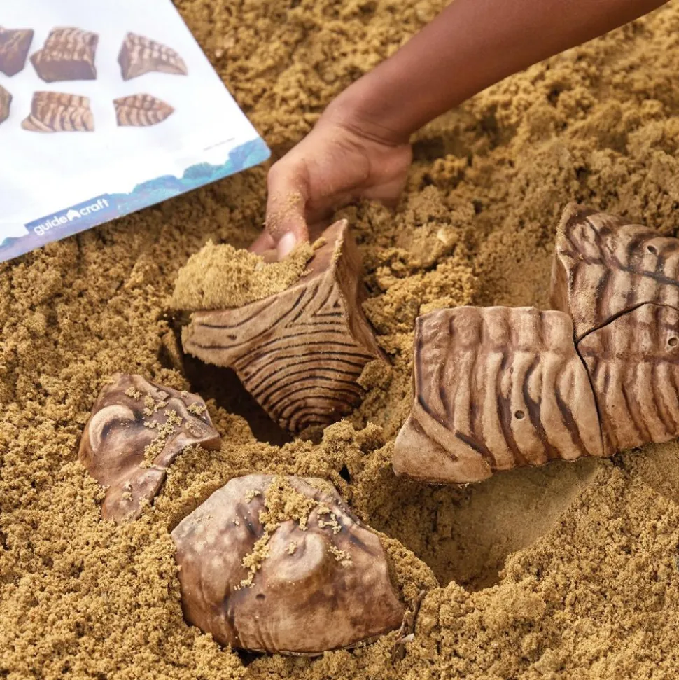 Magnetic Fossil 3D Puzzle Trilobite 6 Pieces