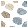 Magnetic Matching Aquatic Life Fossil Stones Set of 8