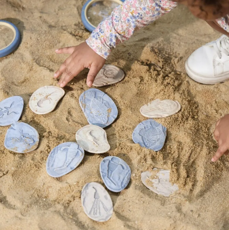 Magnetic Matching Aquatic Life Fossil Stones Set of 8